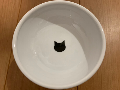 猫壱のお皿を上から見た写真