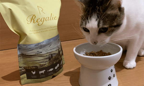 レガリエと白い猫皿とレガリエを美味しそうに食べる猫